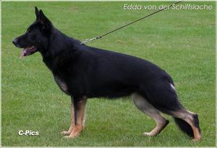 Edda von der Schiffslache Edda von der Schiffslache
