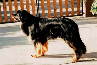 Kevin von der Zollbrücke Kevin von der Zollbrücke