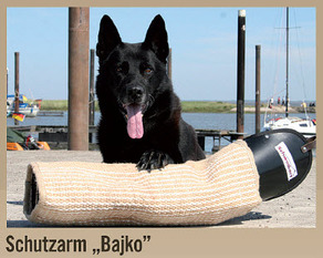 Bajko von Peroh Bajko von Peroh