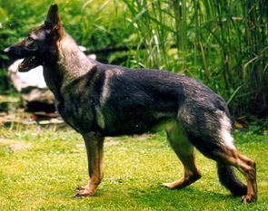 Yuma von Loyola Yuma von Loyola
