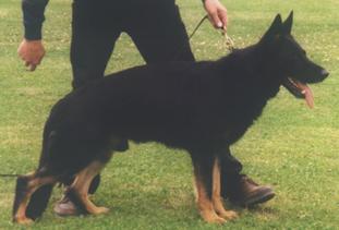 Olly von der Horst Olly von der Horst