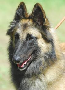 Jina Langu Ni Cheyenne Jina Langu Ni Cheyenne
