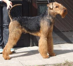 Hermes von den Drei Gleichen Hermes von den Drei Gleichen