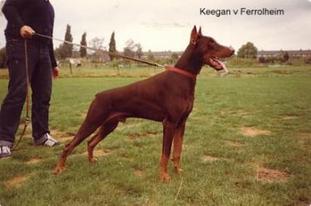 Keegan van Ferrolheim Keegan van Ferrolheim