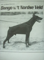 Danyo van't Nordse Veld Danyo van't Nordse Veld