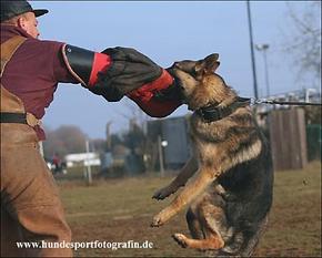 Ialk von der Königin Ialk von der Königin