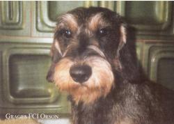 Grages Orson Grages Orson