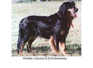 Perdita von Ascona Perdita von Ascona