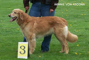 Winnie von Ascona Winnie von Ascona