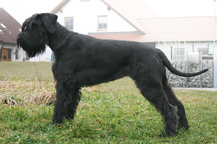 Amy-Bo von Abbas Amy-Bo von Abbas