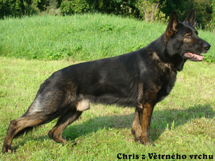 Chris z Vetrneho vrchu Chris z Vetrneho vrchu