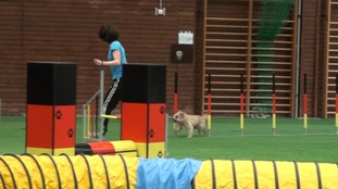 Bibi de l'amie foufou Bibi de l'amie foufou