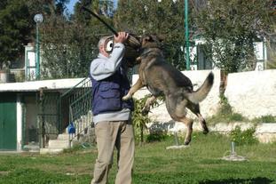 Iago (LOI 0225632) Iago (LOI 0225632)