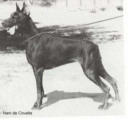 Nani de Covalta Nani de Covalta