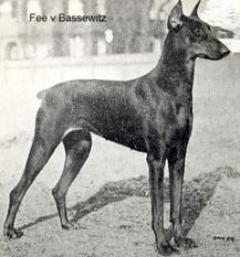 Fee von Bassewitz Fee von Bassewitz