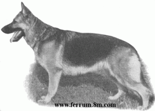 Romy von der Sturmwolke Romy von der Sturmwolke