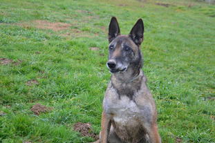Tessa du Haut de l'Arize Tessa du Haut de l'Arize