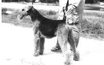Fingal von der schwarzen Kuhle
