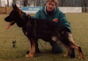 Boomer vom Emsbogen Boomer vom Emsbogen