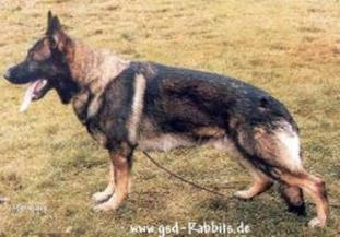 Ukas von der Heidenschanze Ukas von der Heidenschanze