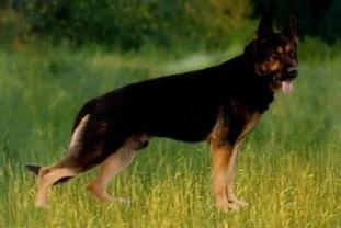 Cliff vom Geraufer Cliff vom Geraufer
