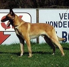 Ogar van de Haantjeshoek Ogar van de Haantjeshoek
