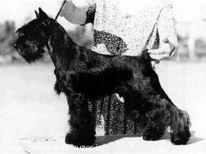 Thankyou van de Havenstad: