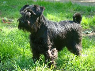 Bubbles von den Black Ninijas Bubbles von den Black Ninijas