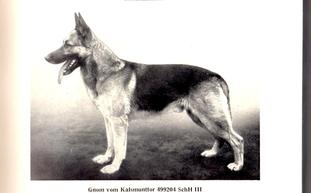 Gnom vom Kalsmunttor Gnom vom Kalsmunttor