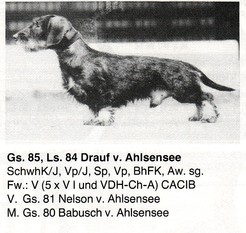 Drauf vom Ahlsensee Drauf vom Ahlsensee