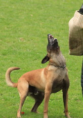 Cobrax von den Räuberwegen Cobrax von den Räuberwegen