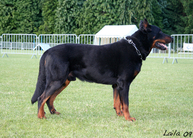 Ullan du Pla de la Jasse