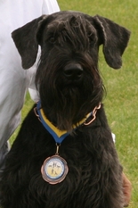 Fletcher von Ermada Fletcher von Ermada
