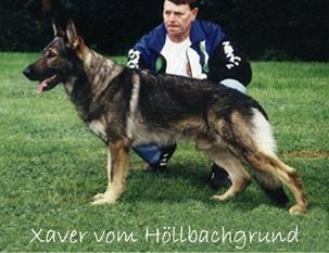 Xaver vom Höllbachgrund Xaver vom Höllbachgrund
