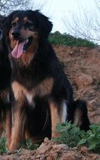 Quassia (LOI 01/172106) Quassia (LOI 01/172106)