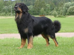 Kleion Ares Kleion Ares