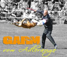 Garm vom Adlerauge Garm vom Adlerauge