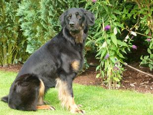 Labou von Knosteren Labou von Knosteren