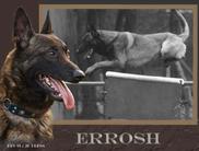 Errosh LOSH 980132