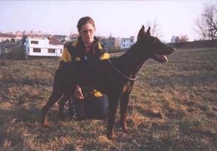 Angie Alary Cerný Poklad Angie Alary Cerný Poklad