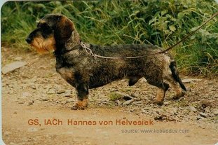 Hannes von Helvesiek Hannes von Helvesiek
