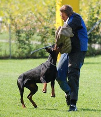 Chaki vom harten Kern Chaki vom harten Kern
