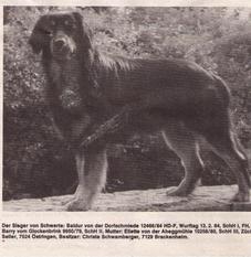 Baldur von der Dorfschmiede Baldur von der Dorfschmiede