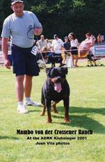Mambo von der Crossener Ranch Mambo von der Crossener Ranch