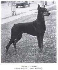 Maida von Coldod Maida von Coldod