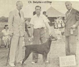 Belydia von der Elbe Belydia von der Elbe