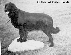 Esther von der Kieler Förde Esther von der Kieler Förde