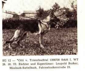 Otti vom Trienzbachtal Otti vom Trienzbachtal
