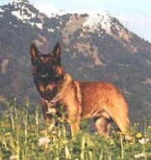 Tico van Stokeind Tico van Stokeind