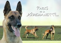Parks de la Videmanette